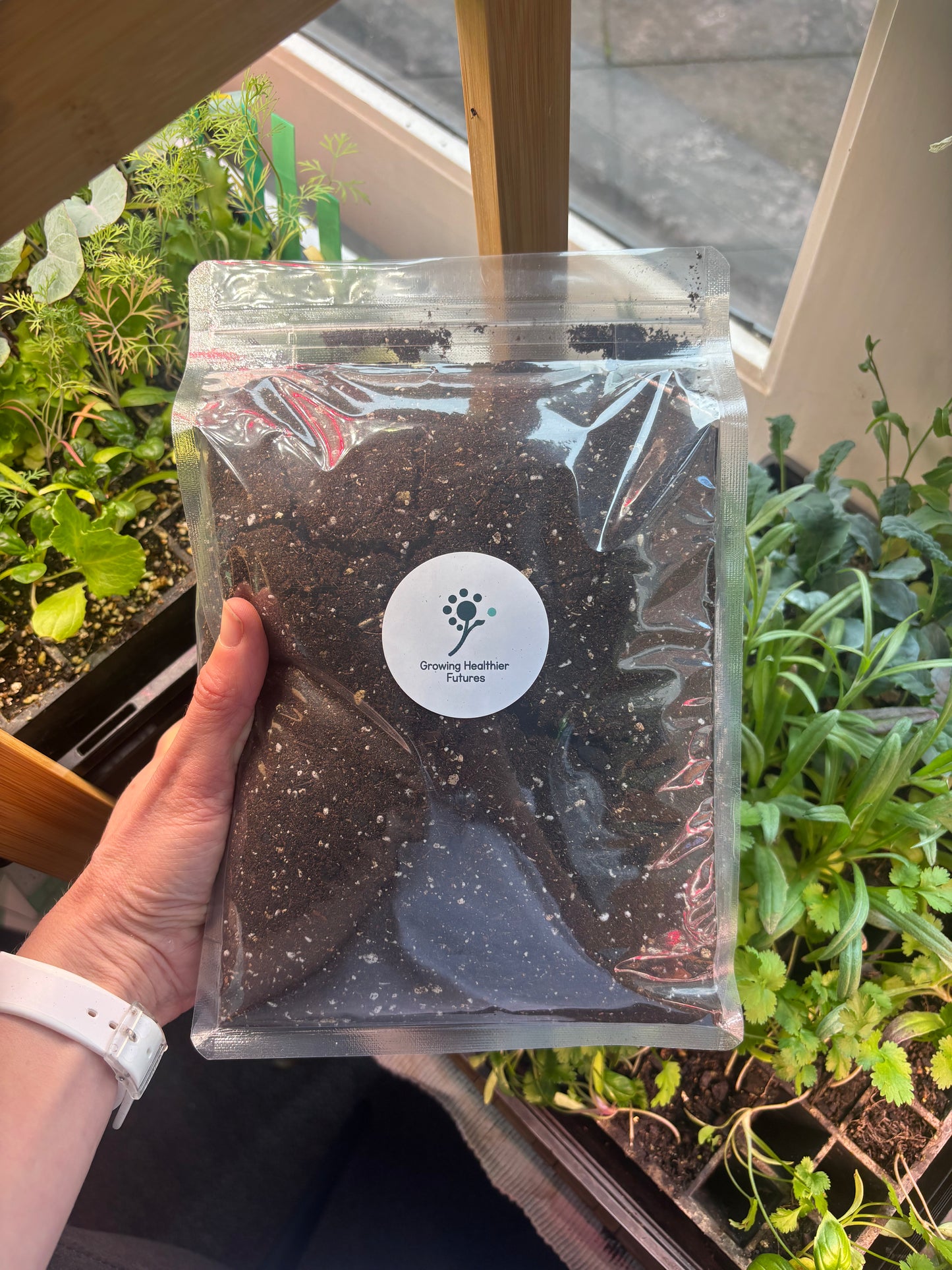 2L Premium Seed Raising Mix - Organic Seedling Plug Growing Soil