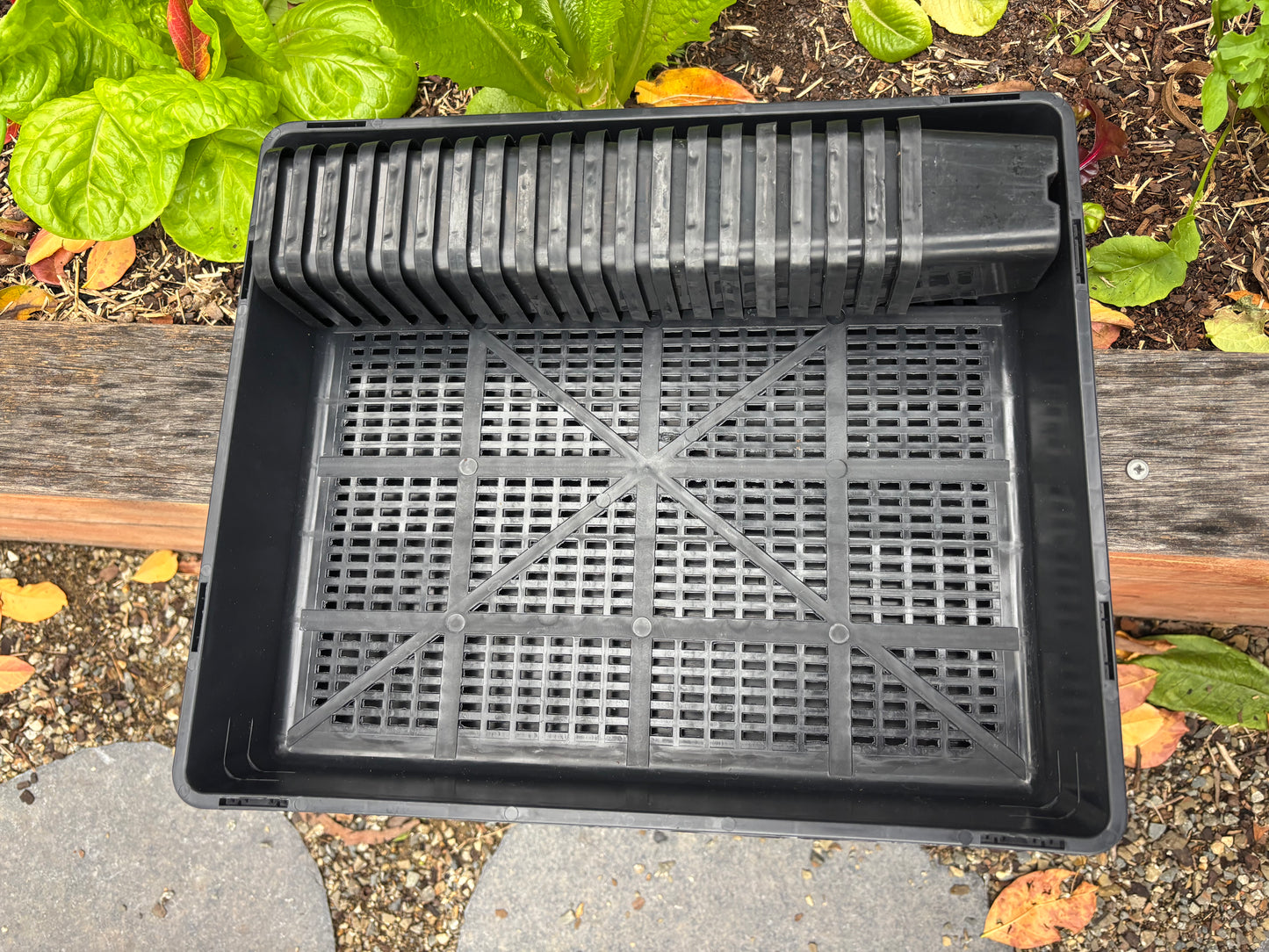 20 Eco Square Seedling Pots & Seedling Trays