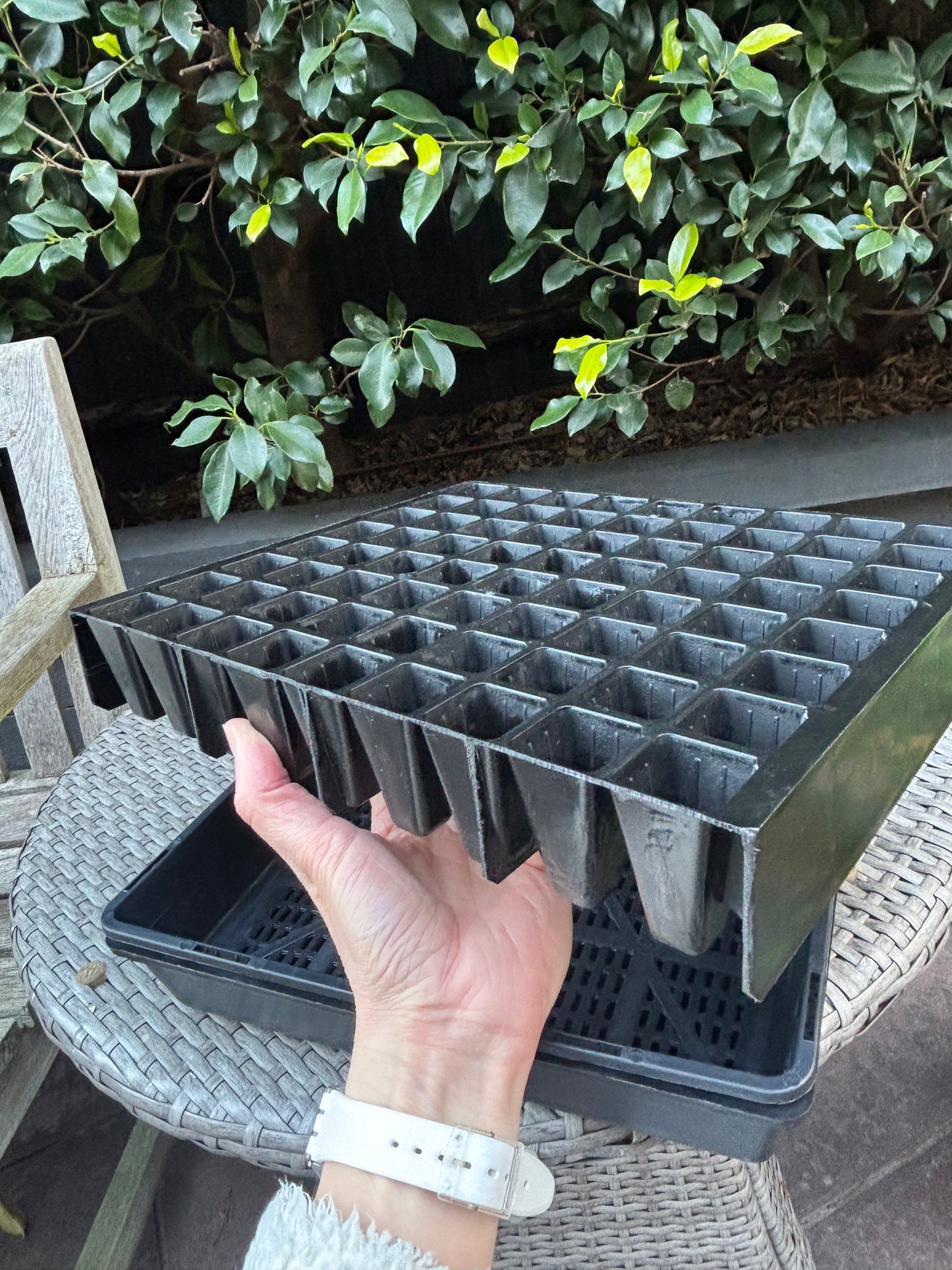 72 Cell Seedling Plug Tray & Bottom Watering Trays - Heavy Duty
