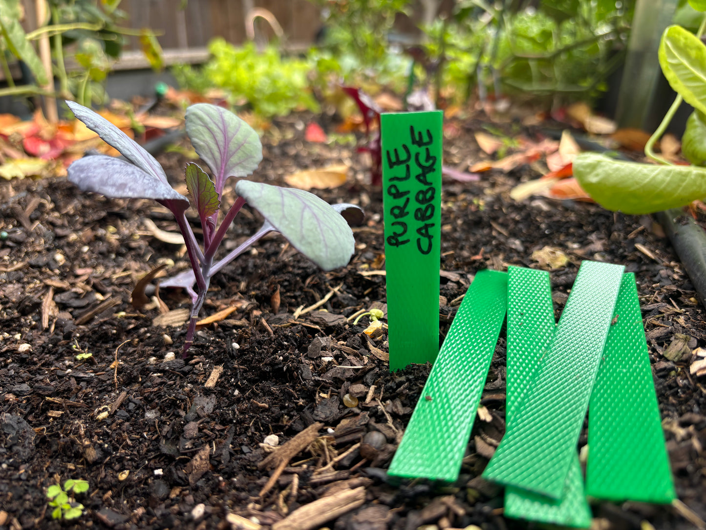 10 Eco Plant Labels - made in Melb