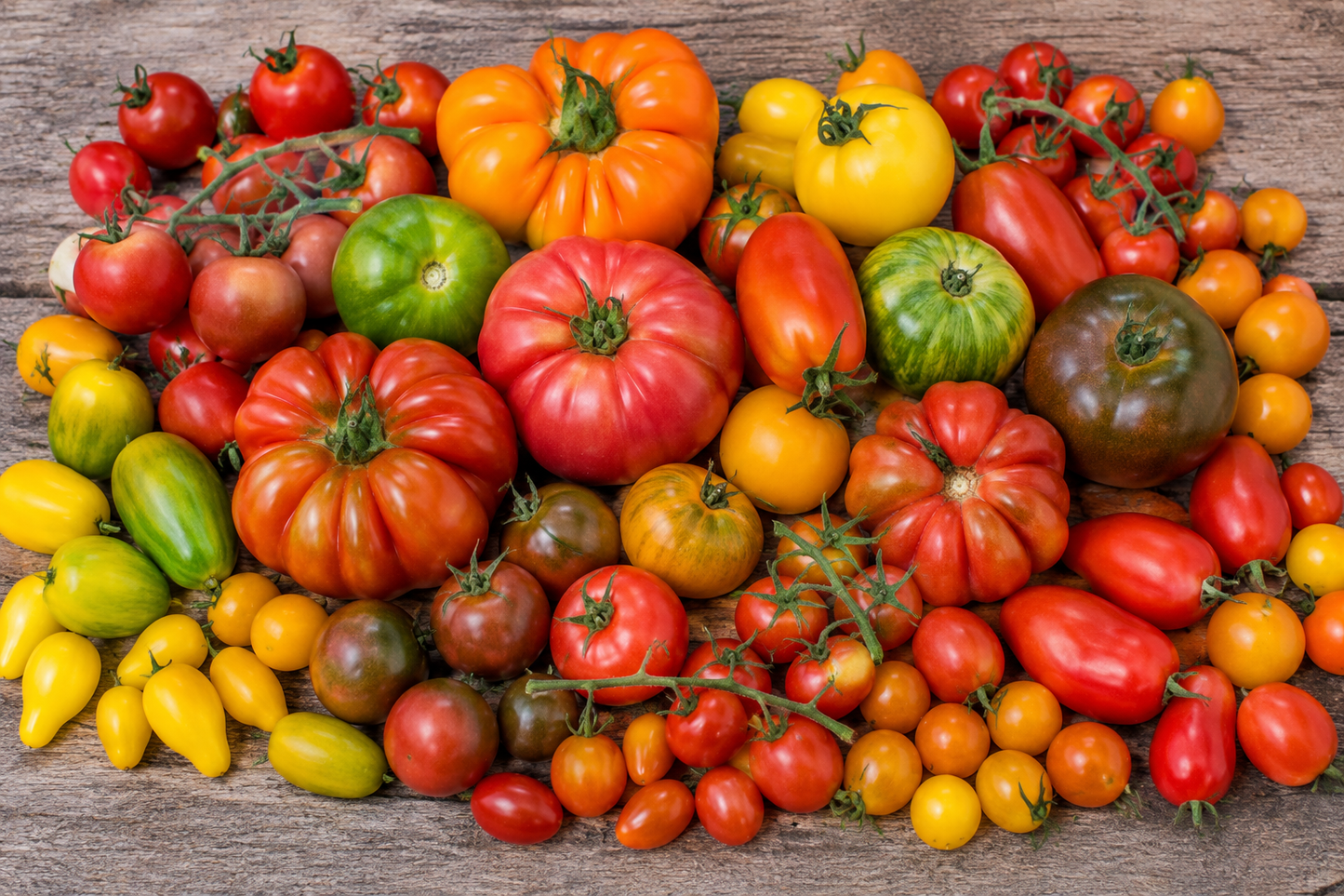 Tomato Seeds - Heirloom Mix