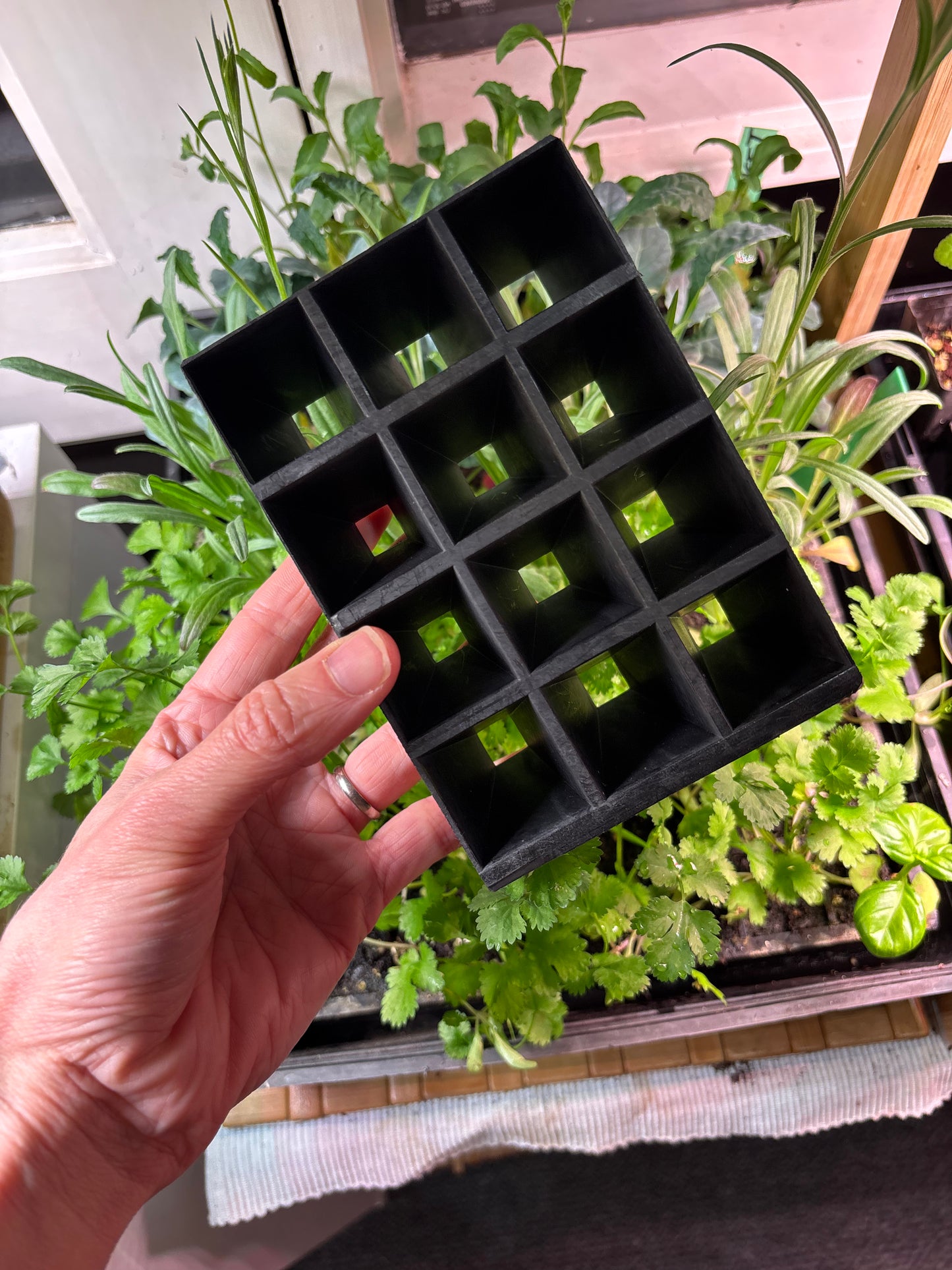 Small Seedling Plug Tray & Soil - 12 Cell