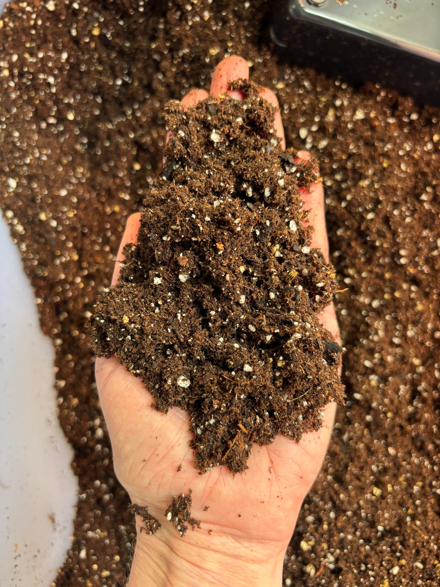 1L Premium Seed Raising Mix (Small) - Organic Seedling Plug Growing Soil