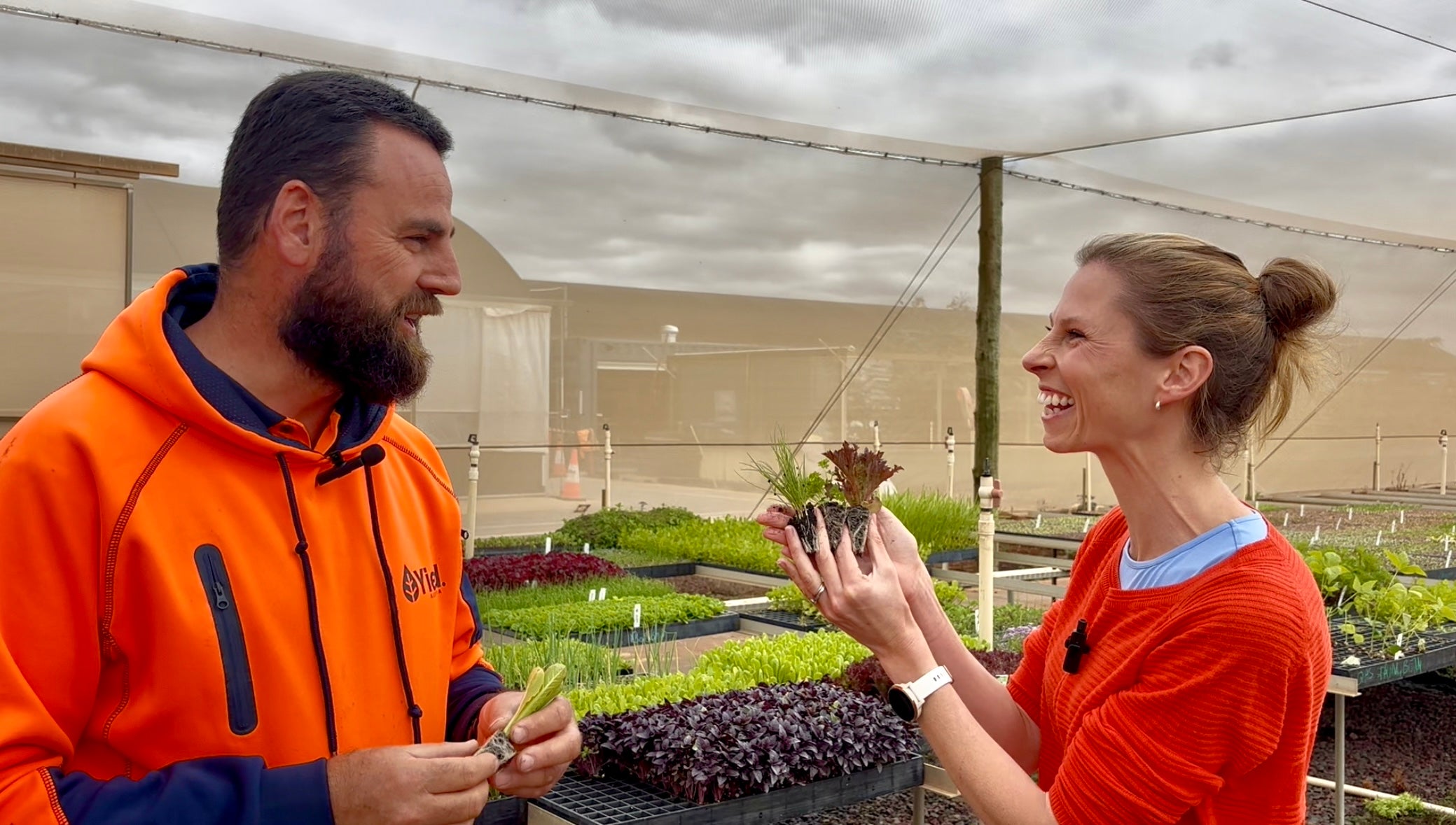 Load video: A video about how to care for seedlings, for kids and beginners