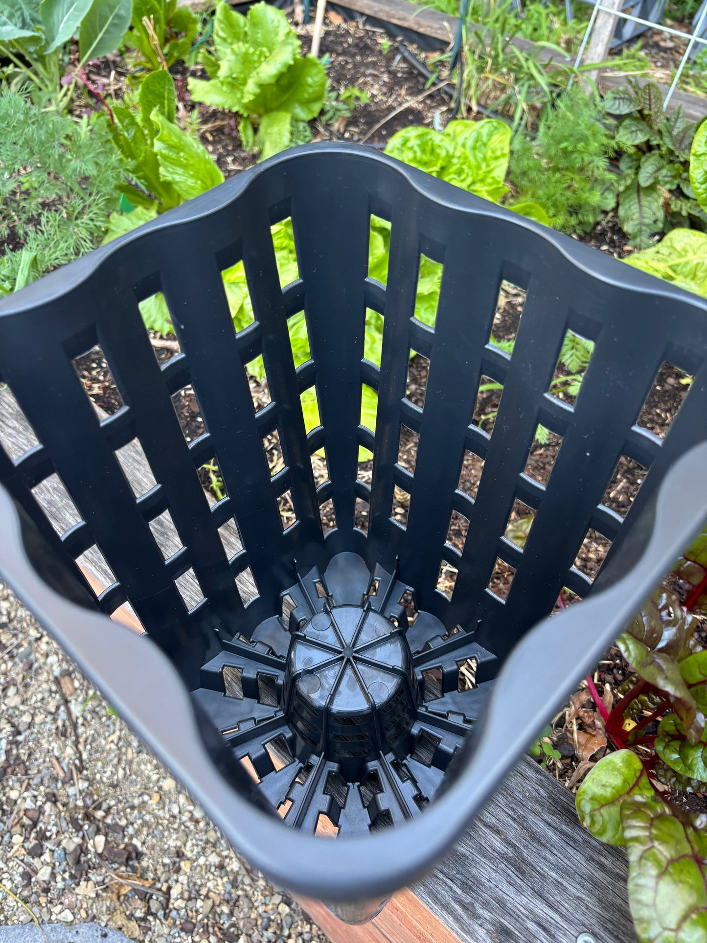Soil Sieve - Multipurpose Anti-Spiraling Root Trainer Pot