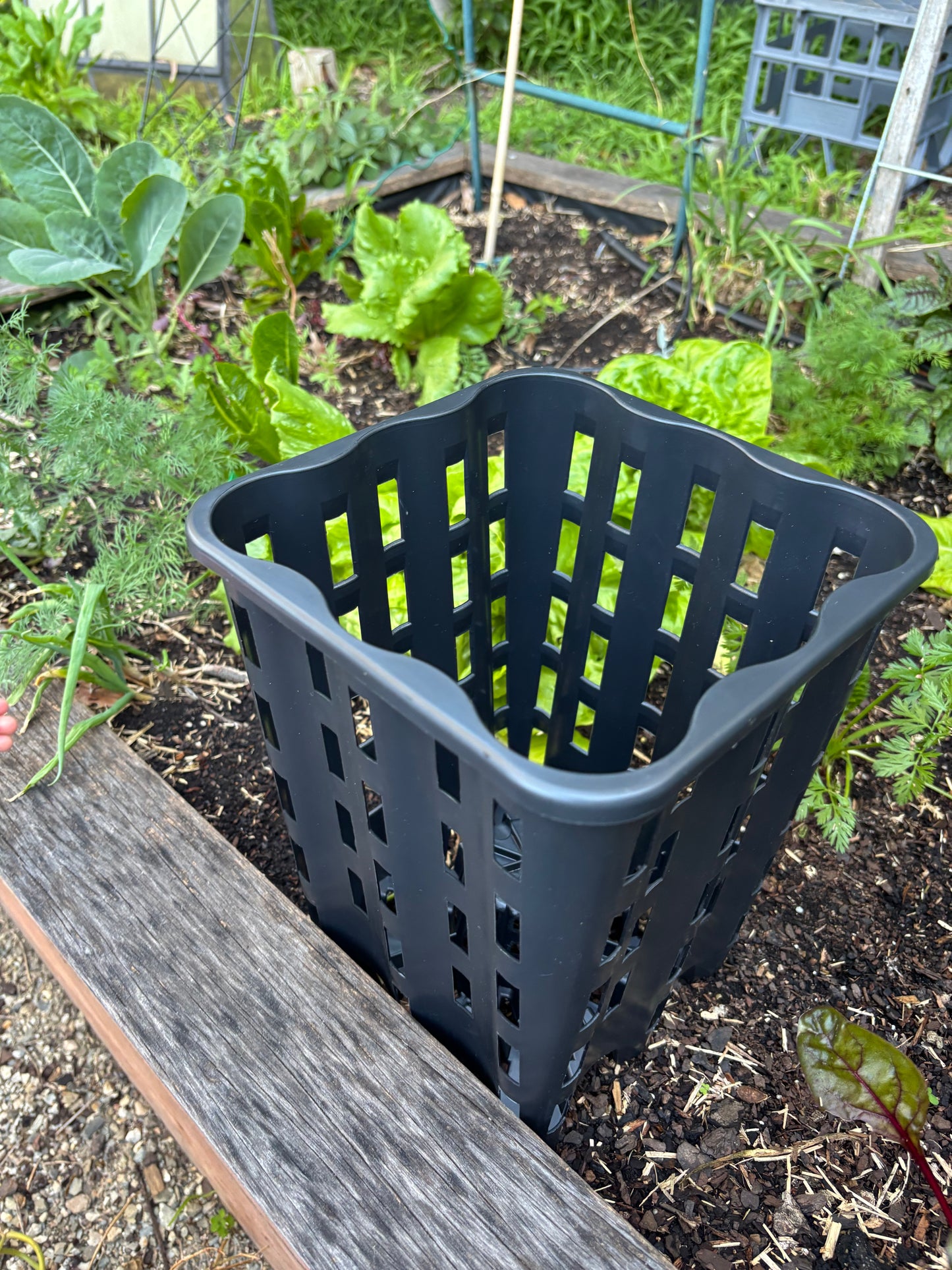 Soil Sieve - Multipurpose Anti-Spiraling Root Trainer Pot