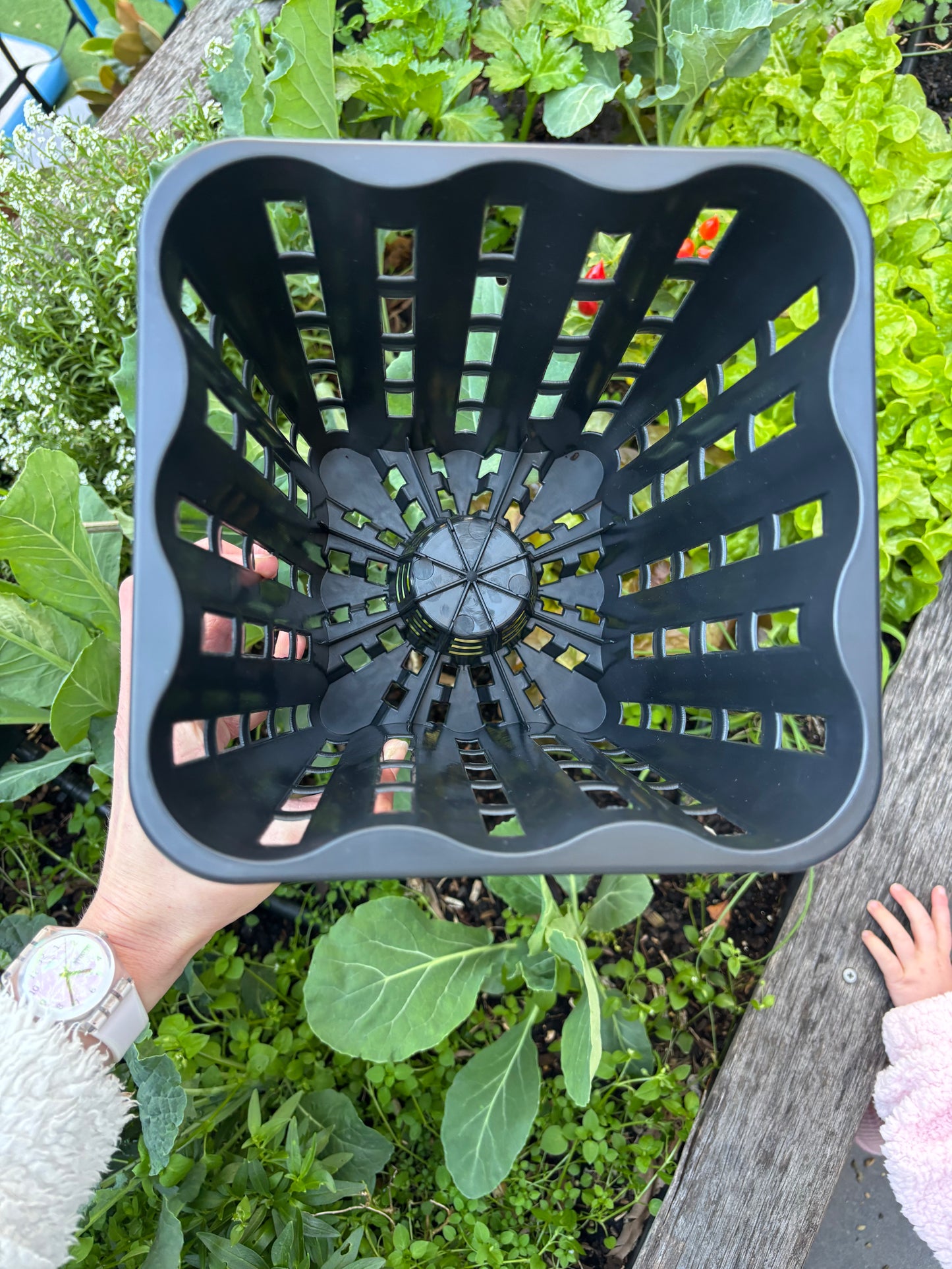 Soil Sieve - Multipurpose Anti-Spiraling Root Trainer Pot