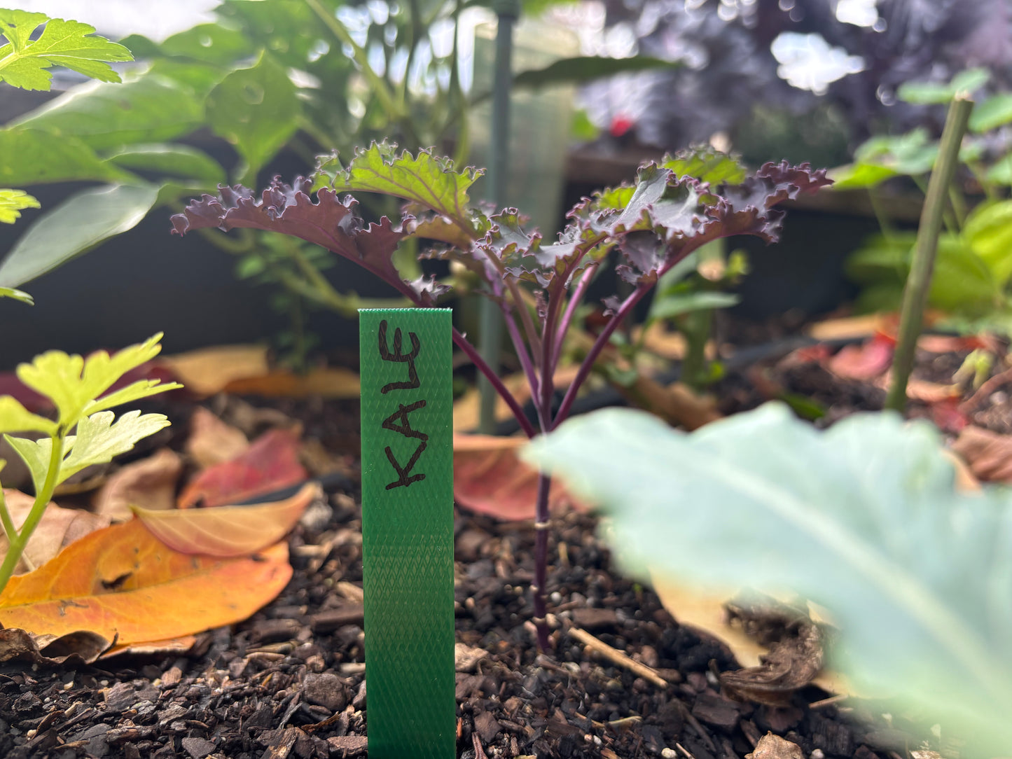 10 Eco Plant Labels - made in Melb