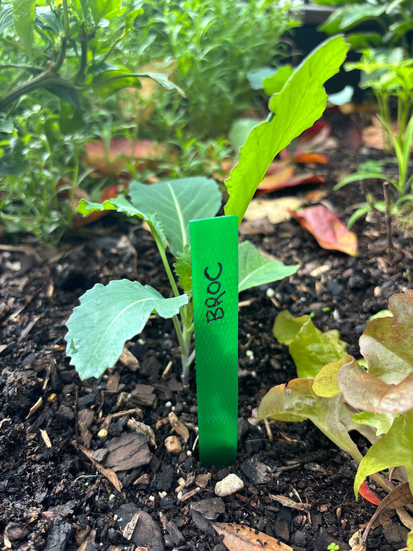 10 Eco Plant Labels - made in Melb