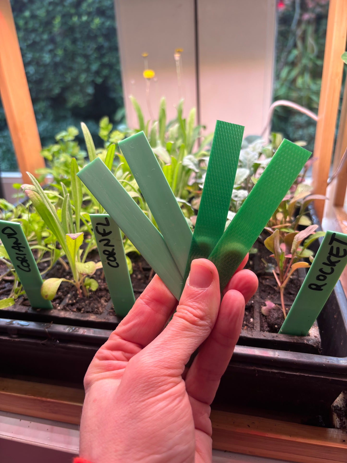 10 Eco Plant Labels - made in Melb