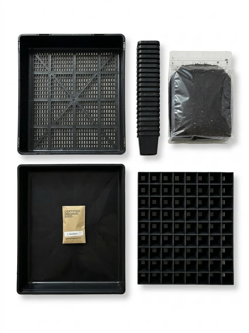 Seed Raising Kit – 72 Cell Seedling Plug Tray and Accessories