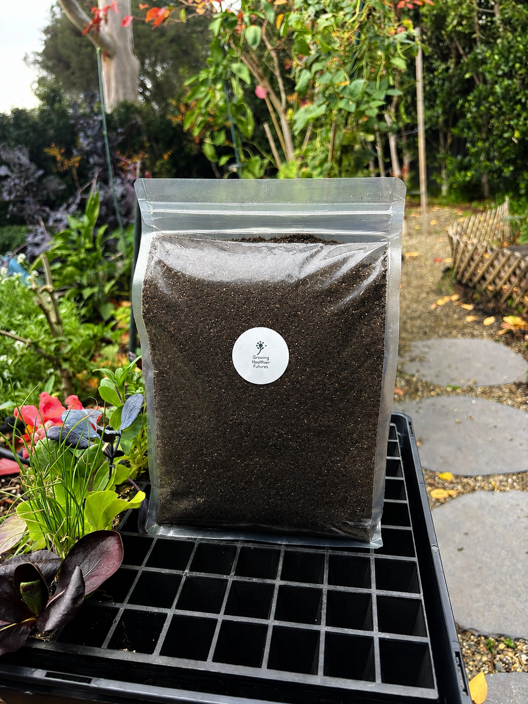 2L Premium Seed Raising Mix - Organic Seedling Plug Growing Soil