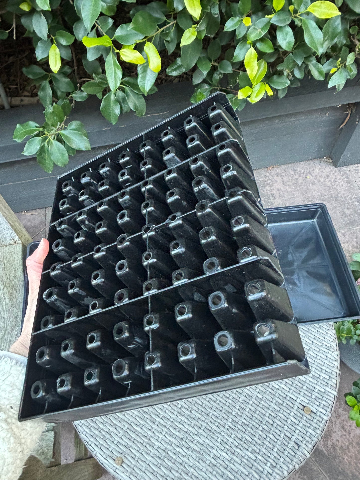 72 Cell Seedling Plug Tray & Bottom Watering Trays - Heavy Duty