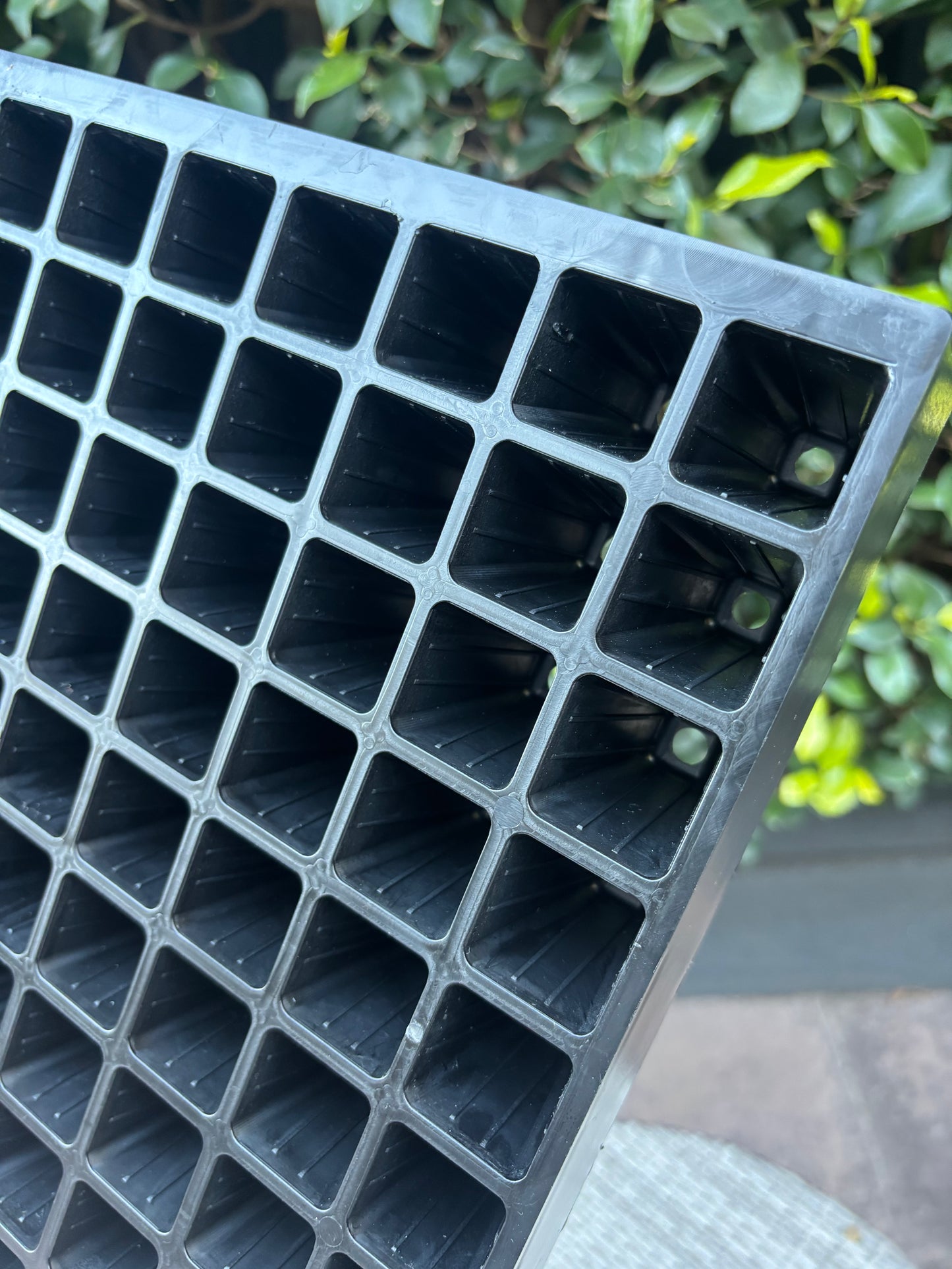 72 Cell Seedling Plug Tray & Bottom Watering Trays - Heavy Duty