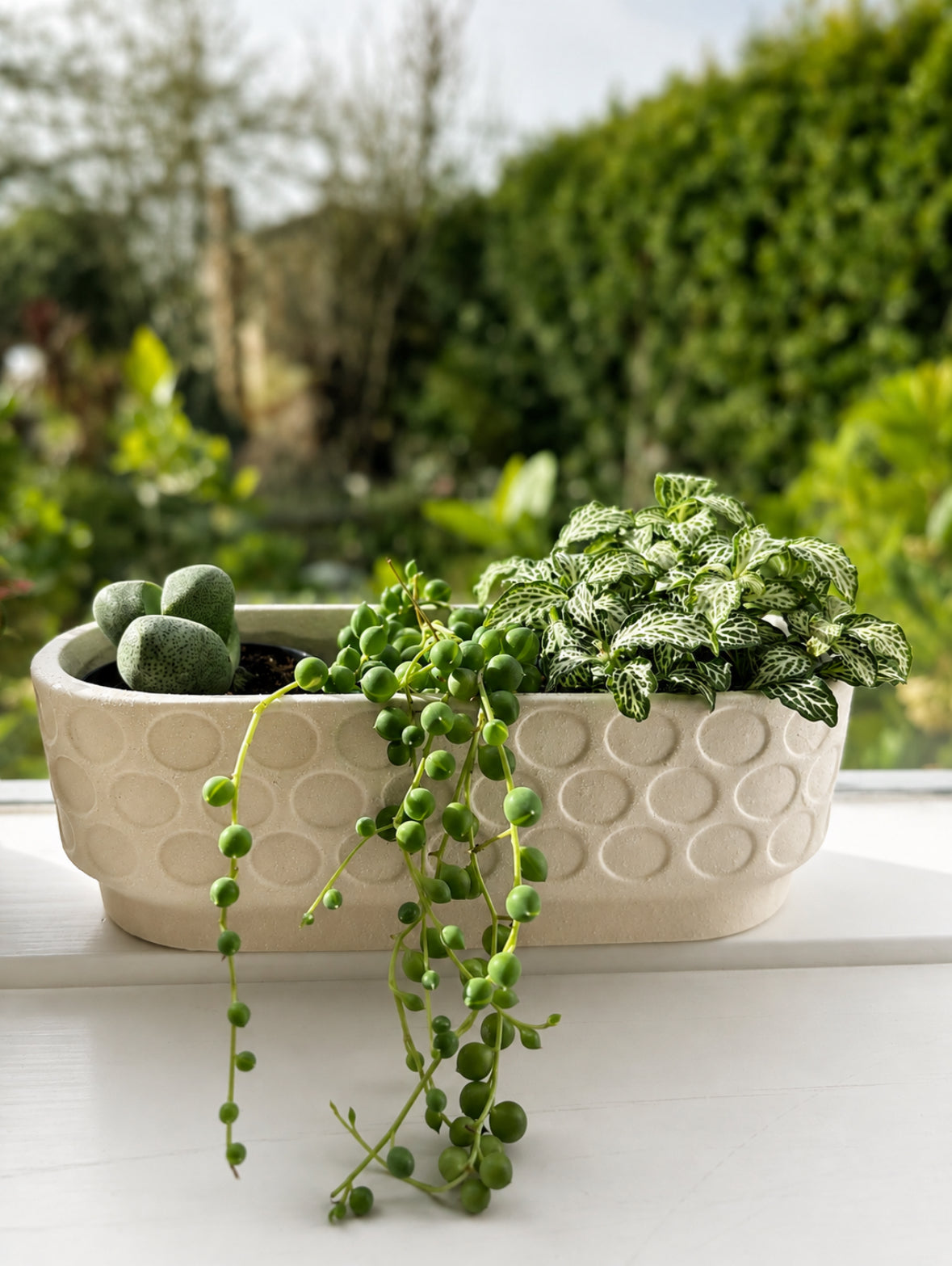 Windowsill Planter