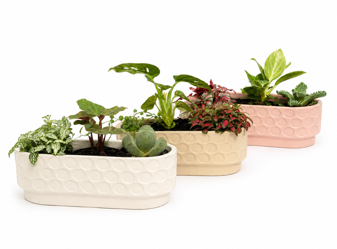 Windowsill Planter