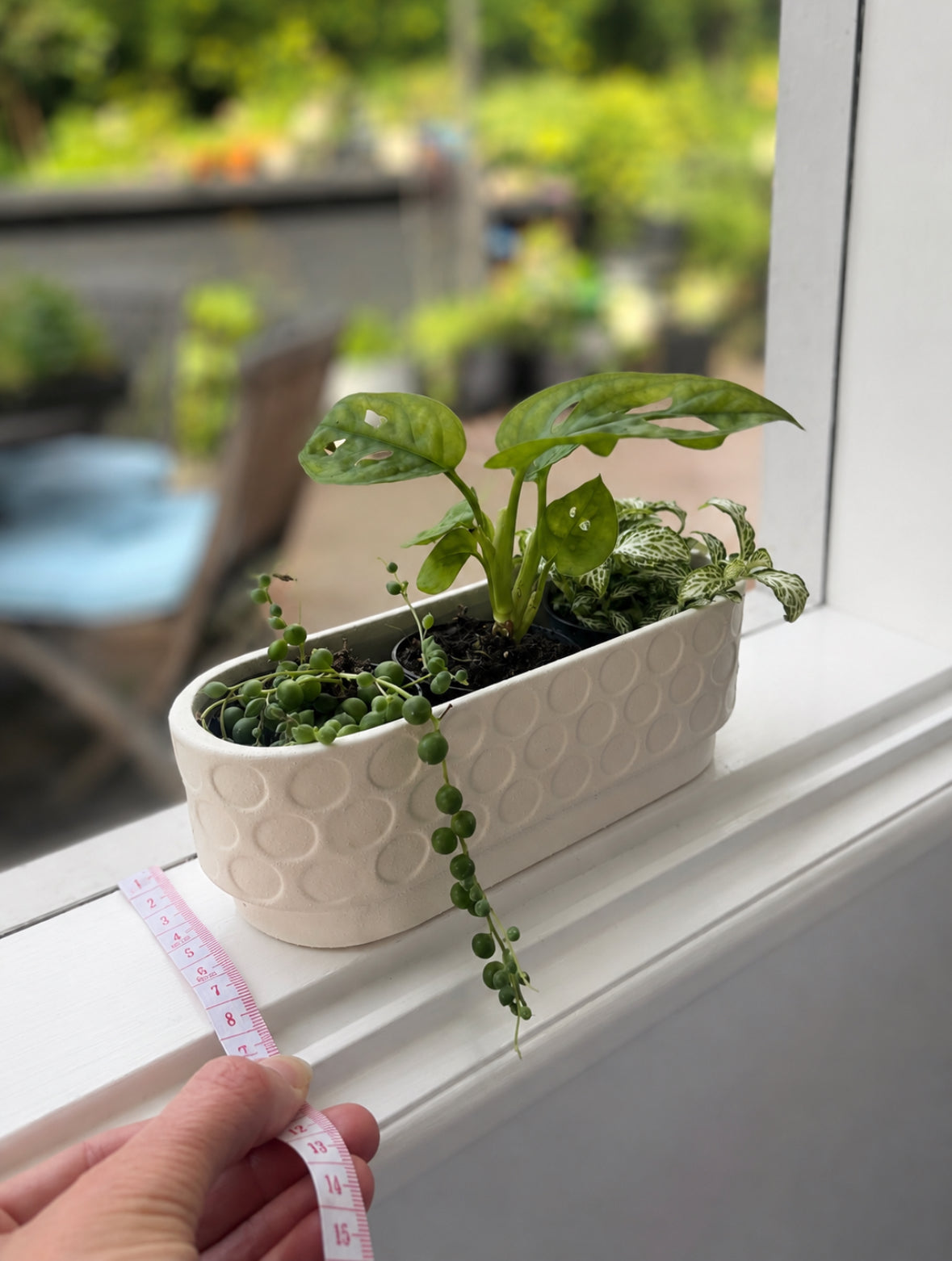 Windowsill Planter