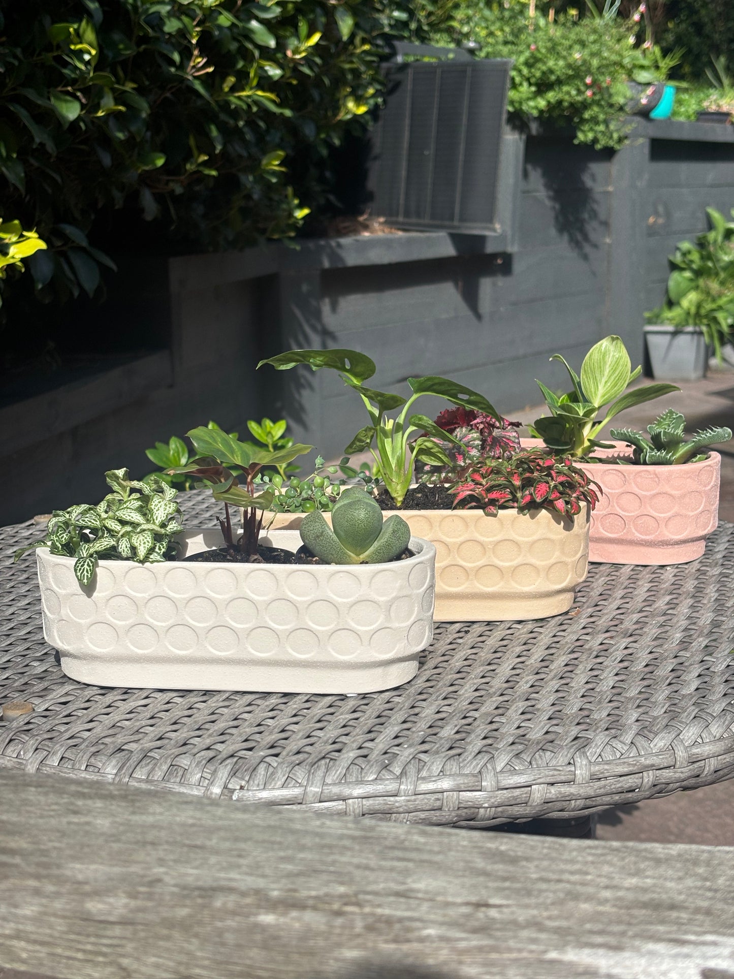 Windowsill Planter
