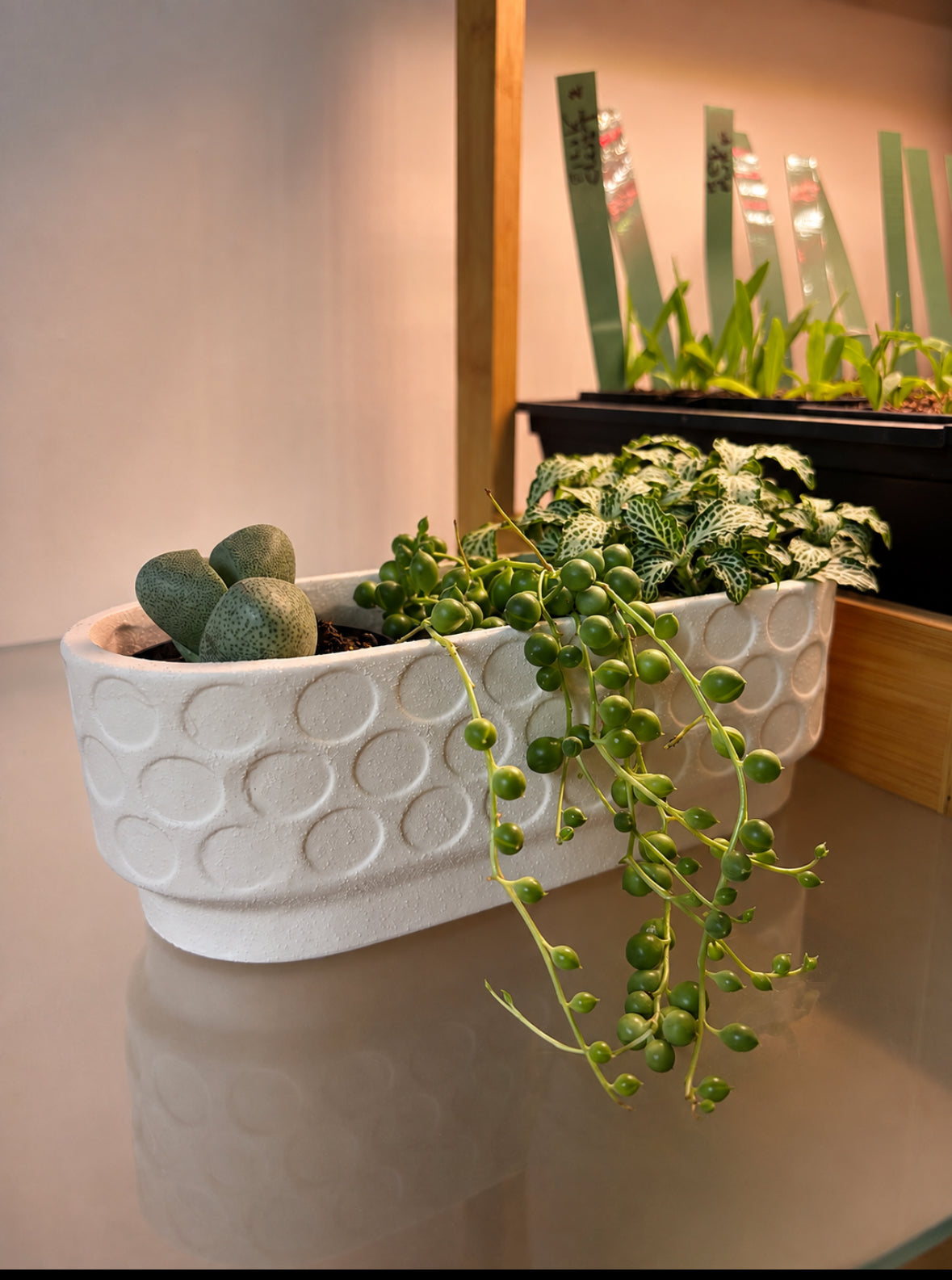 Windowsill Planter