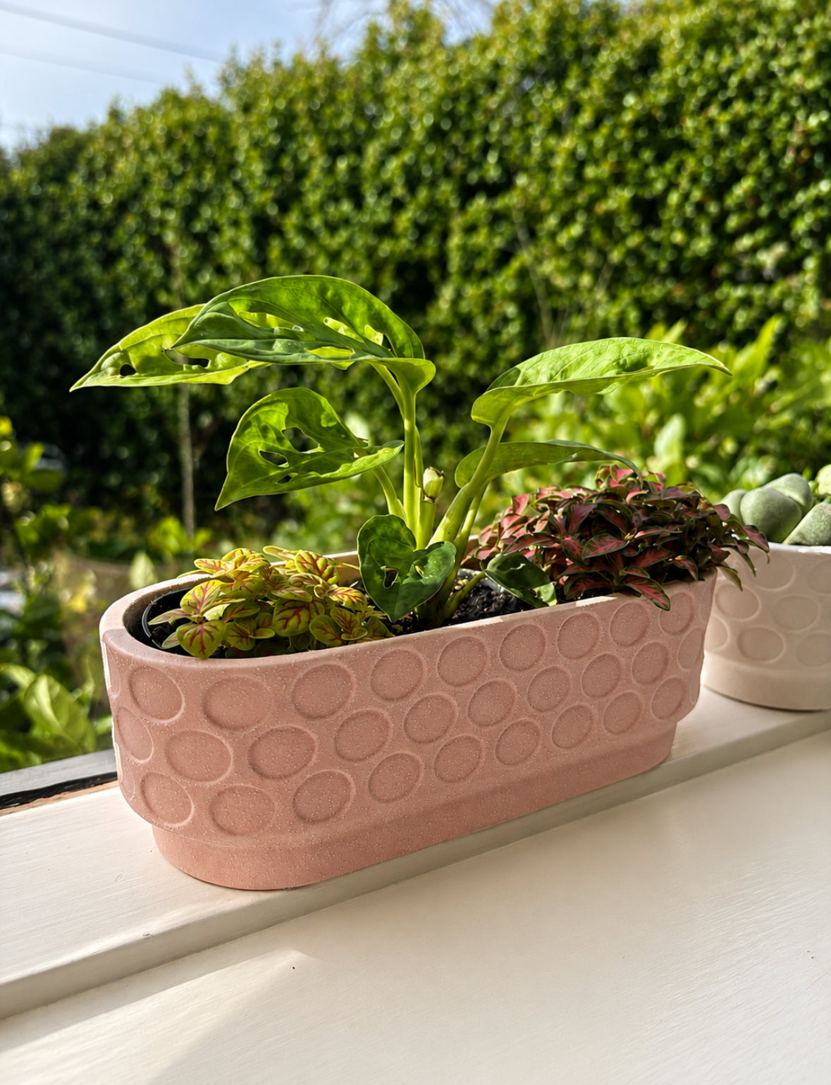 Windowsill Planter