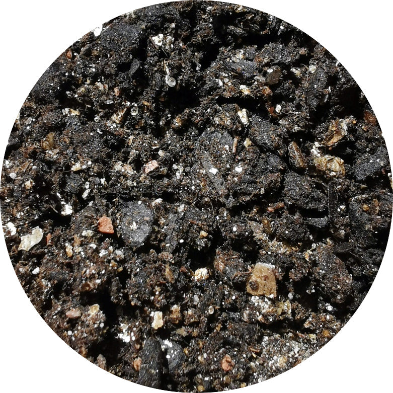 QPS Grow Media 🌱(70L Bag) - Quality Plants & Seedlings